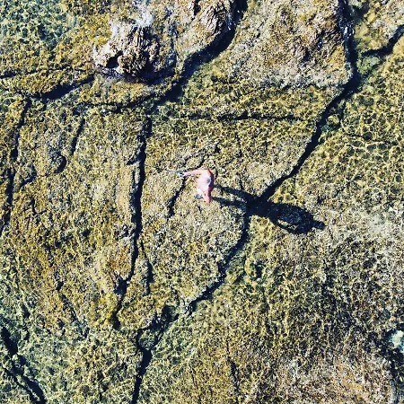 بيت ضيافة Sunbeach 3*