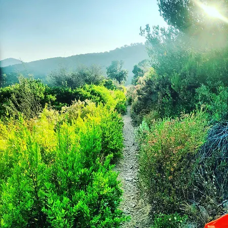 Sunbeach بيت ضيافة 3*