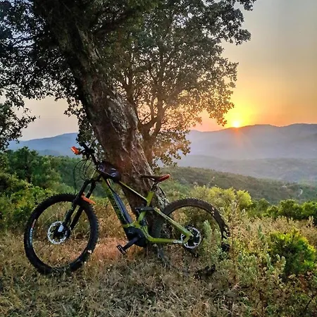 ゲストハウス Sunbeach