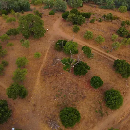 Sunbeach ゲストハウス ロクブリューヌ・シュル・アルジャン